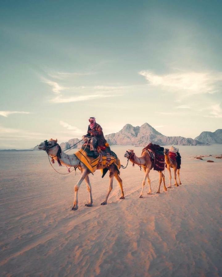 Wadi Rum Desert Shine Exteriör bild